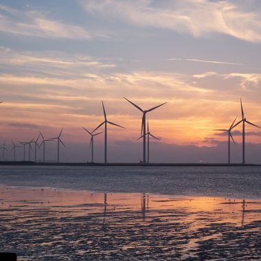 5 sustainability skills critical for banking leaders