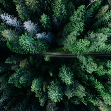 Nature is key to banks’ sustainability ambitions